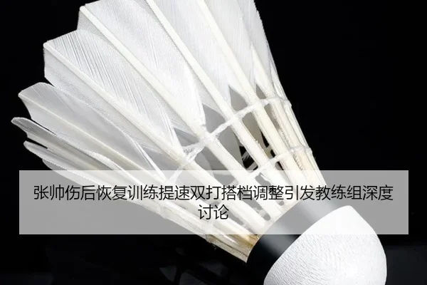 张帅伤后恢复训练提速双打搭档调整引发教练组深度讨论 - kaiyun